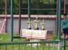 P1010021.jpg